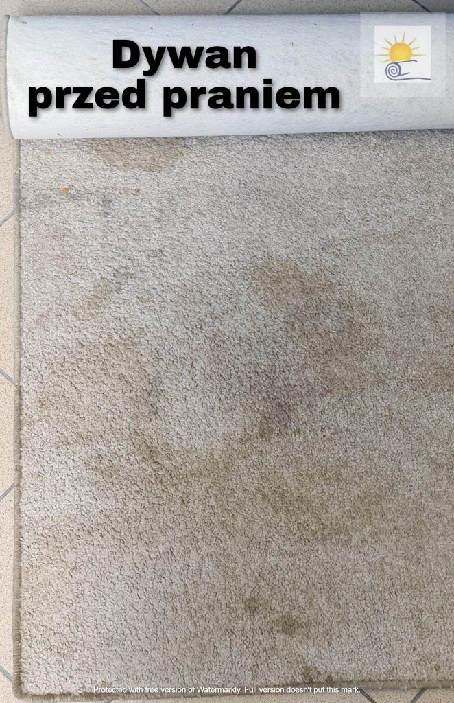 brudny dywan przed praniem
